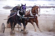 Chariot race, Afton, Wyoming